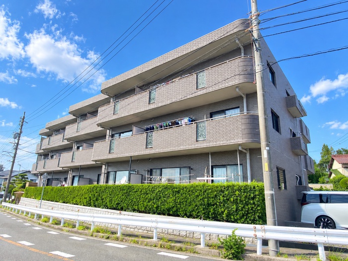 フロイエン高針