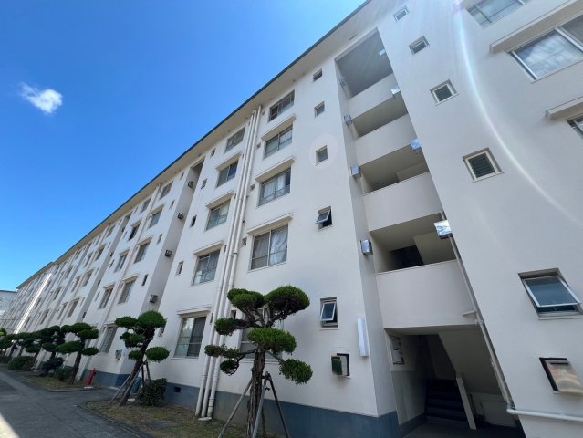 上高丸団地D棟
