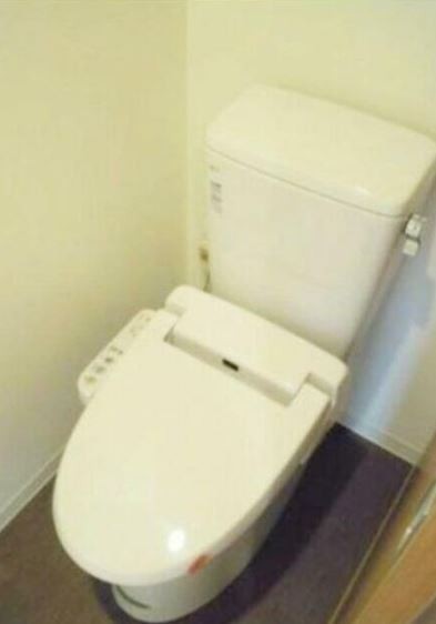 トイレ　※同仕様写真含む