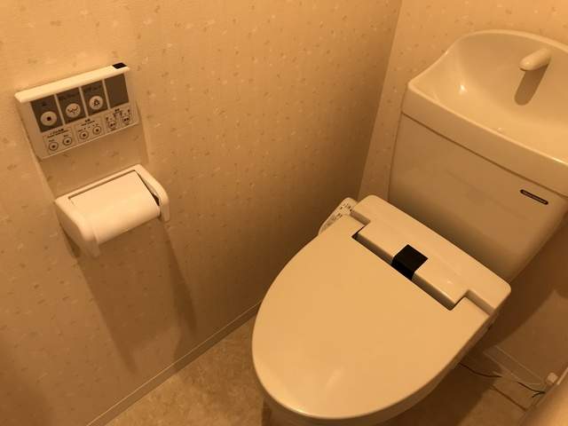 東武伊勢崎線 とうきょうスカイツリー駅 徒歩7分 5階建 築11年のトイレ写真