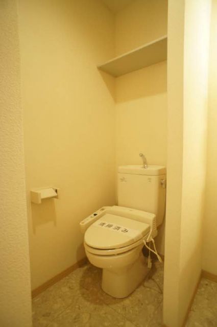 ＪＲ両毛線 新前橋駅 徒歩27分 2階建 築20年のトイレ写真