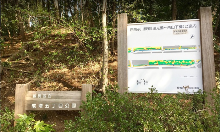 公園　成増５丁目公園（公園）まで367m