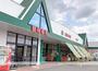 スーパー　新鮮市場　松岡店（スーパー）まで550m