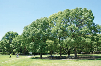 【ひまわりハイツの公園】