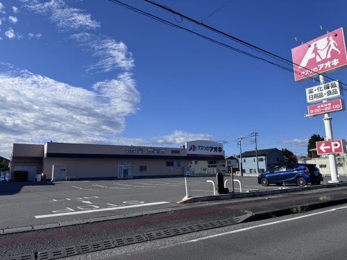 【藤岡市上戸塚のアパートのドラックストア】