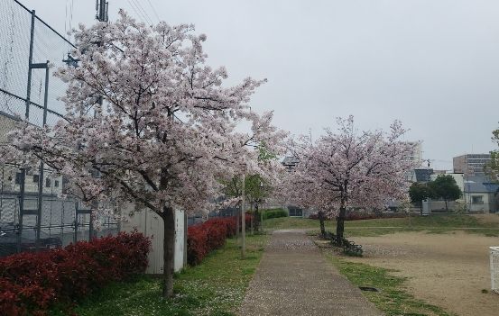 【ソルテラス大阪城東の公園】