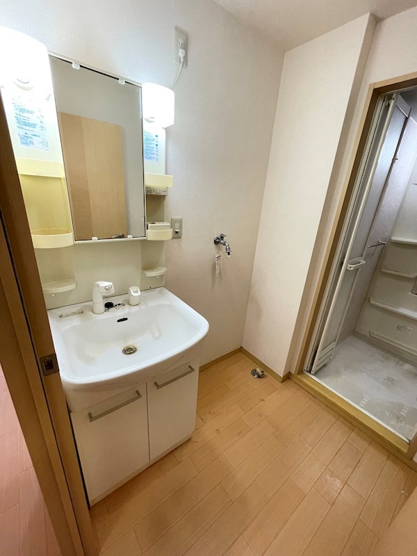 洗面設備　あって嬉しいシャンプードレッサー付き