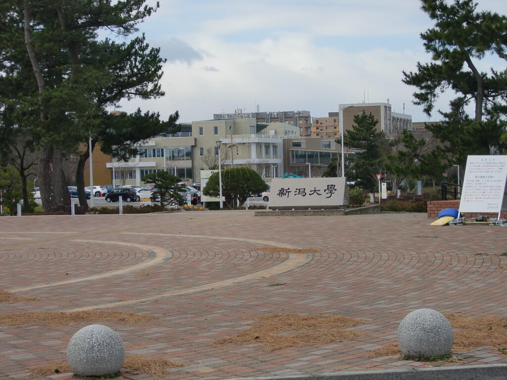大学・短大　国立新潟大学（大学・短大）まで929m