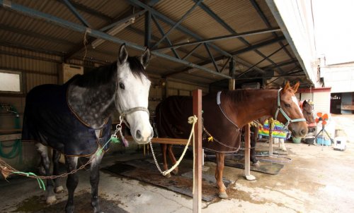 その他　ちばシティ乗馬クラブ（その他）まで563m