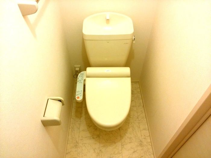 ＪＲ城端線 東野尻駅 徒歩14分 2階建 築14年のトイレ写真