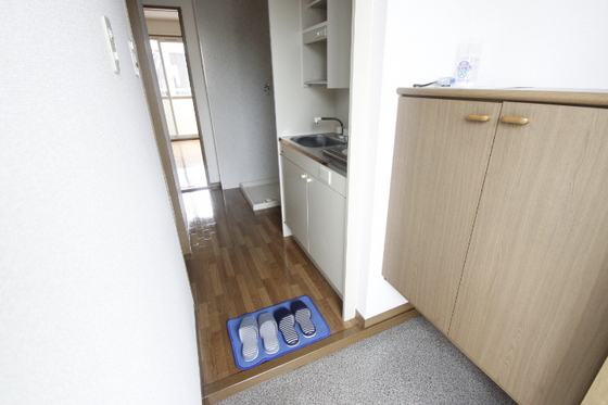 玄関　※他の号室の写真です。
