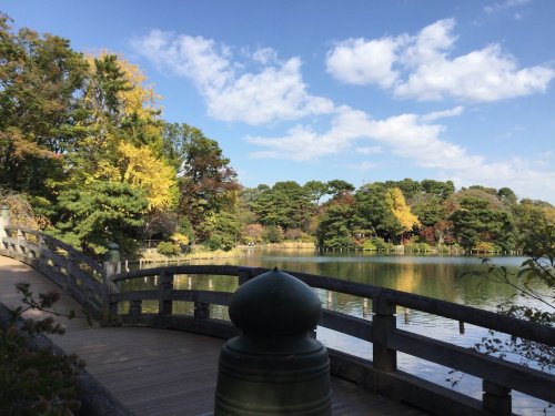 【旗の台ヒルズの公園】