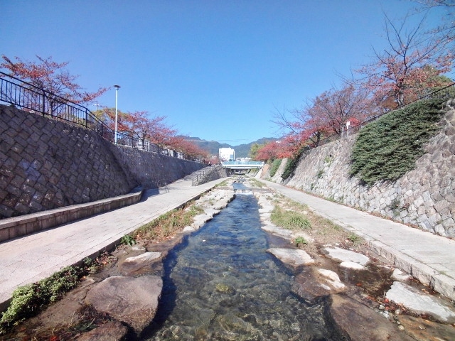 【神戸市灘区鹿ノ下通のマンションの公園】