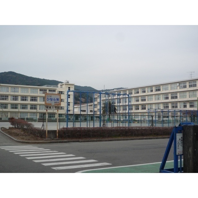 小学校　静岡市立服織小学校（小学校）まで230m