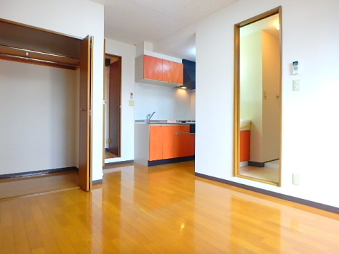 居室・リビング　写真は５０７号室です