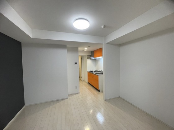 居室・リビング　※別号室の写真です