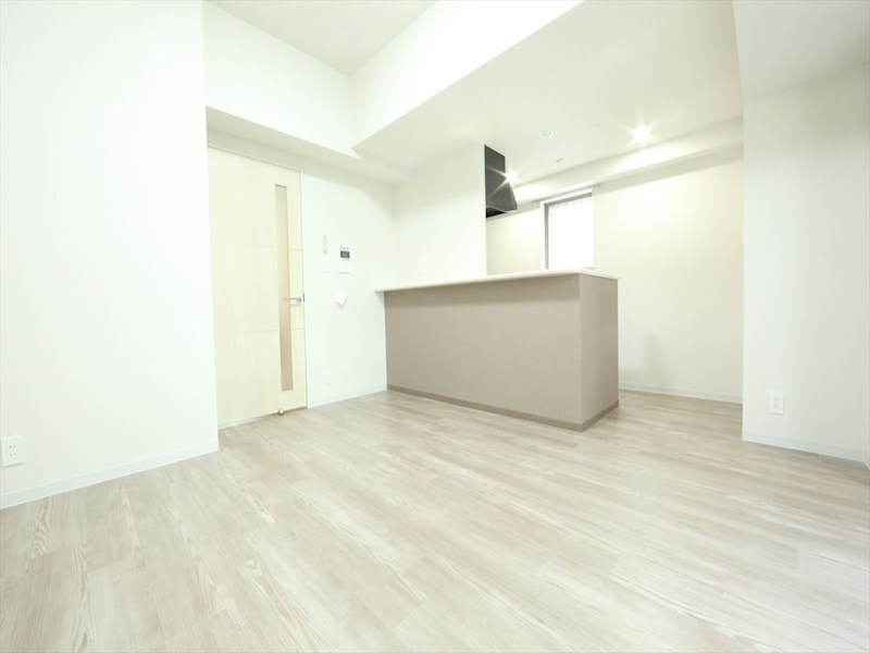 居室・リビング　ＬＤＫ11.3帖　カウンターキッチン　エアコン完備