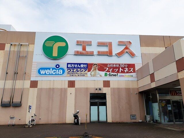 スーパー　エコス新治店（スーパー）まで1000m