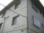サンハイツ井東 3階 築43年2ヶ月の賃貸物件