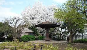 公園　東原くすのき公園（公園）まで400m