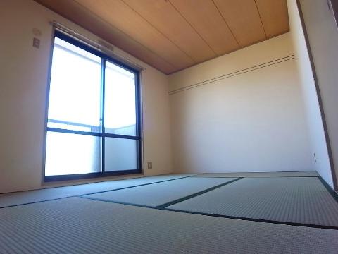 その他　その他