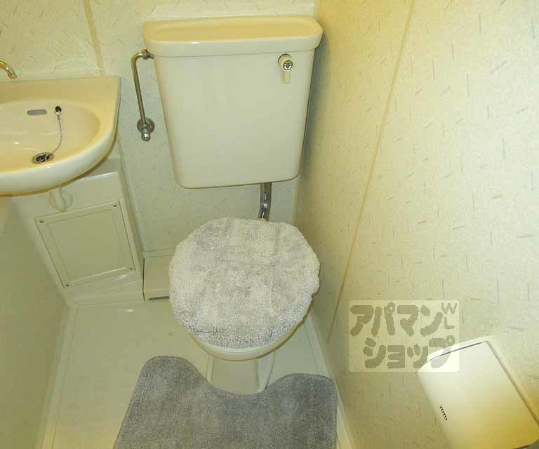 トイレ　２０３号室の写真です。