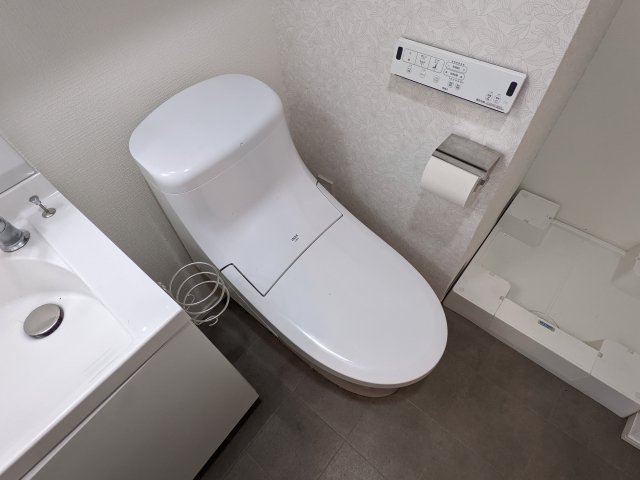 トイレ　トイレです
