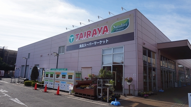 スーパー　TAIRAYA並木店（スーパー）まで1250m
