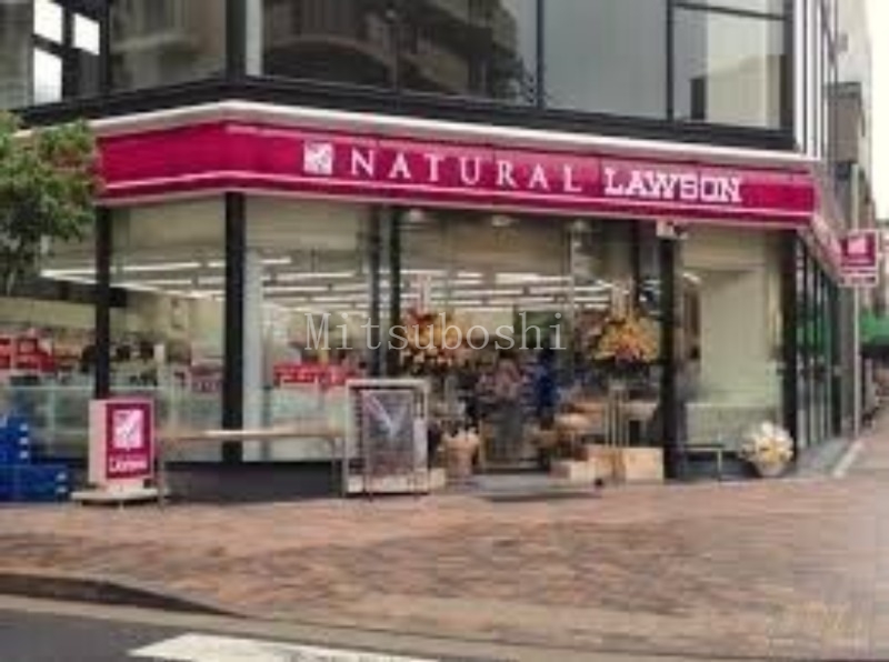 コンビニ　ナチュラルローソン広尾五丁目店（コンビニ）まで119m