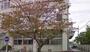 中学校　足立区立伊興中学校（中学校）まで175m