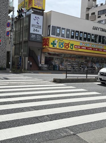 ドラックストア　どらっぐぱぱす 下赤塚店（ドラッグストア）まで445m
