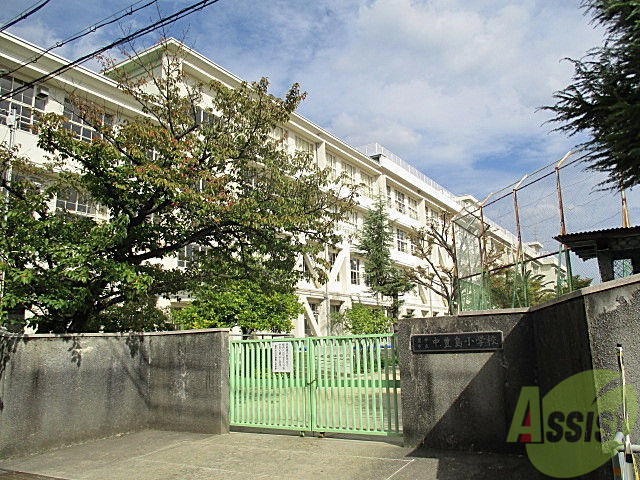 小学校　中豊島小学校（小学校）まで293m