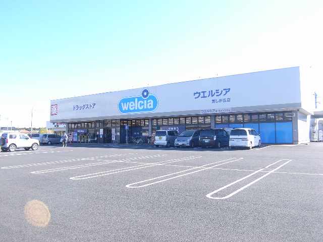 ドラックストア　ウエルシア美しが丘店（ドラッグストア）まで579m