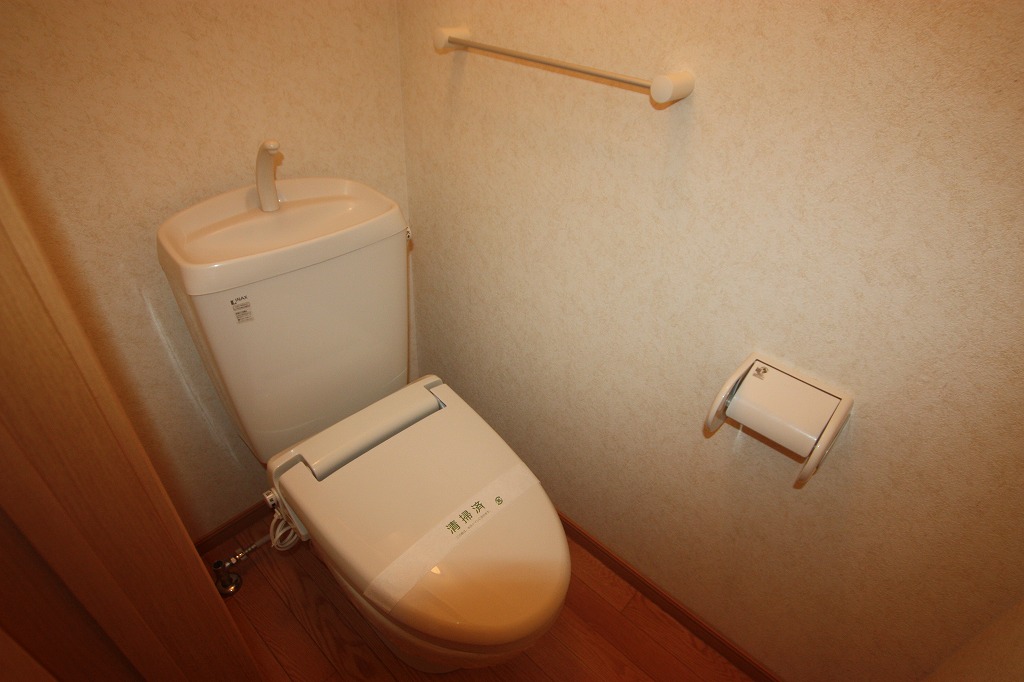 ＪＲ福塩線 下川辺駅 徒歩60分 2階建 築21年のトイレ写真