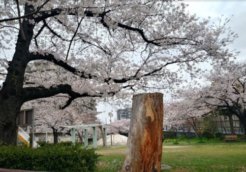 【プレサンス梅田北オールの公園】