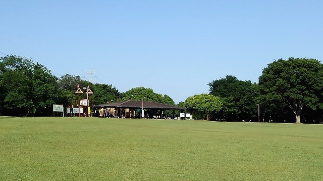 【ニューライズ花崎の公園】