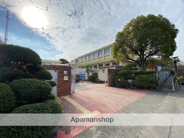 中学校　東大阪市立中学校縄手北中学校（中学校）まで730m