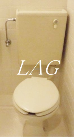 トイレ　トイレです。