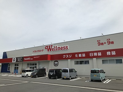 ドラックストア　ドラッグストアウェルネス 片庭店（ドラッグストア）まで731m