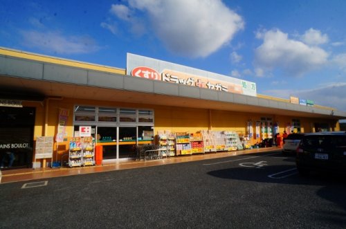 ドラックストア　ドラッグセガミ 朱雀店（ドラッグストア）まで1172m