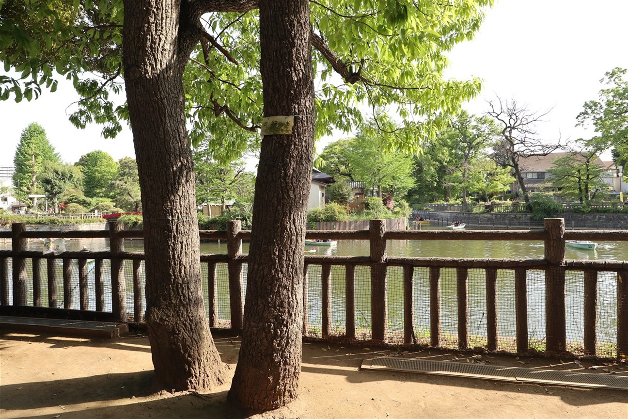 公園　碑文谷公園（公園）まで530m