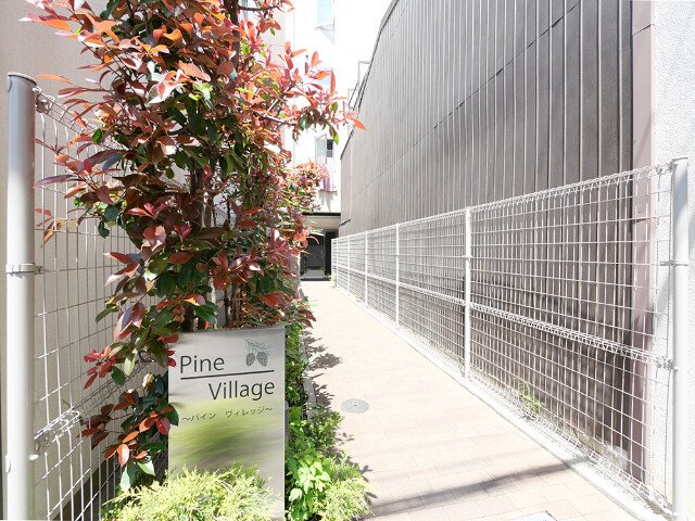 庭　パインヴィレッジ