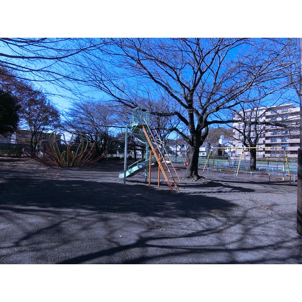 公園　並木公園（公園）まで712m