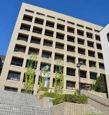 役所　柏市役所（役所）まで1175m