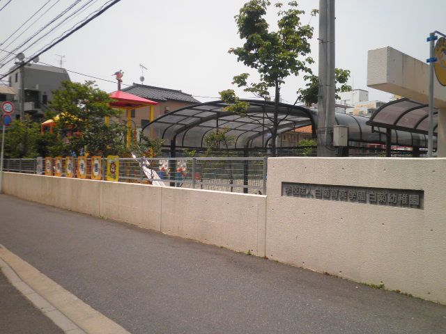 幼稚園・保育園　白菊幼稚園（幼稚園・保育園）まで118m