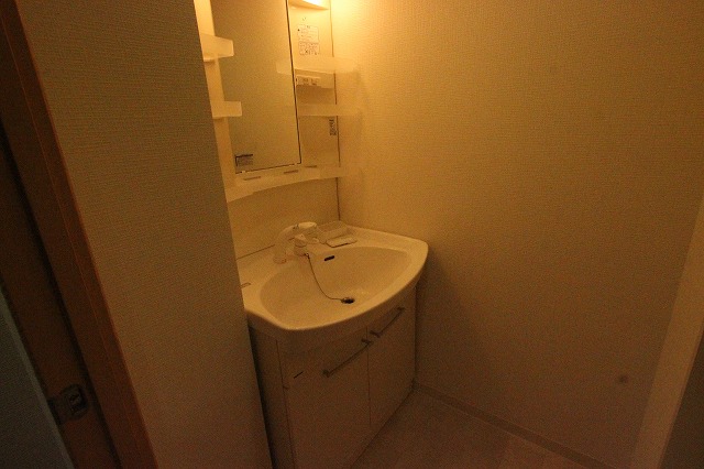 洗面設備　同物件、別号室のものです。