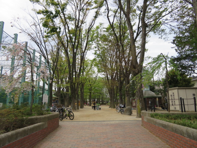 公園　大宮前公園（公園）まで439m