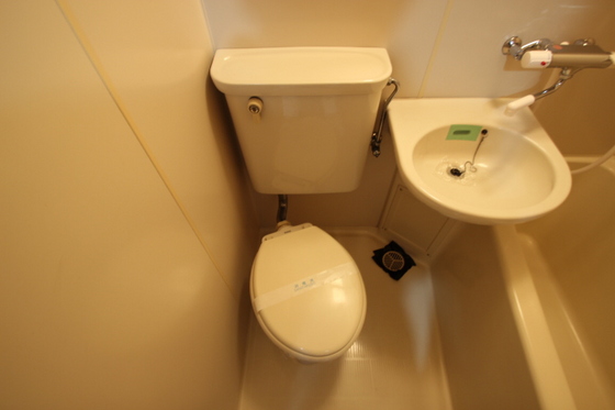 トイレ　※別号室の写真です