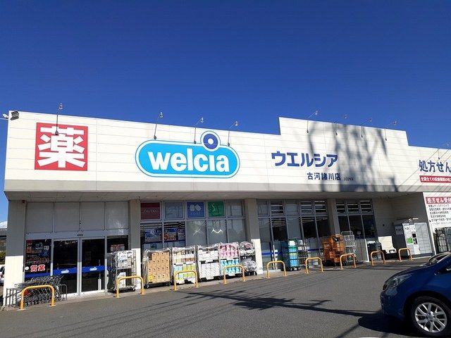 ドラックストア　ウエルシア古河諸川店（ドラッグストア）まで800m