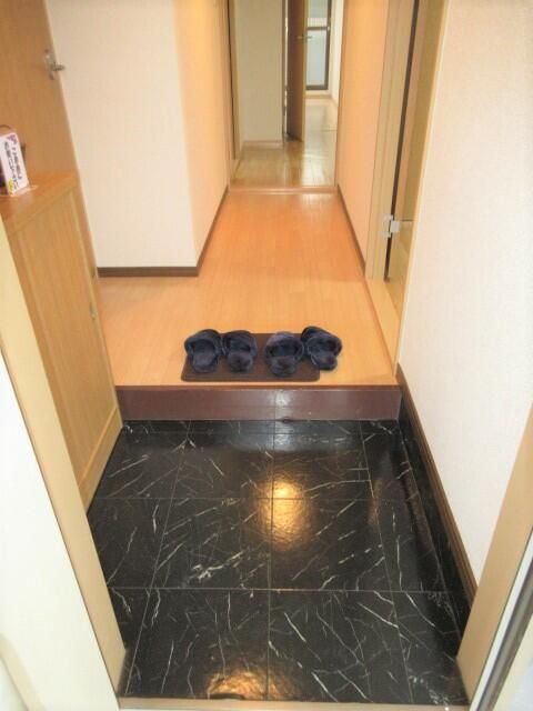 玄関　写真は別の部屋のものです。